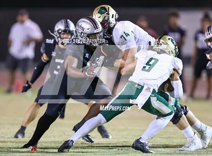 Thumbnail 1 in Basha @ Hamilton photogallery.