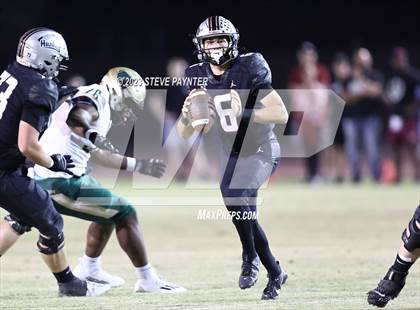 Thumbnail 1 in Basha @ Hamilton photogallery.