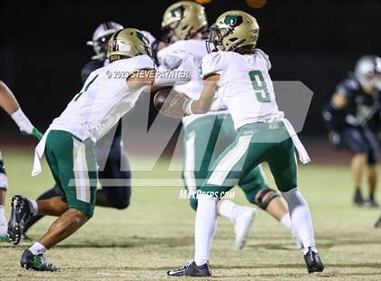 Thumbnail 3 in Basha @ Hamilton photogallery.