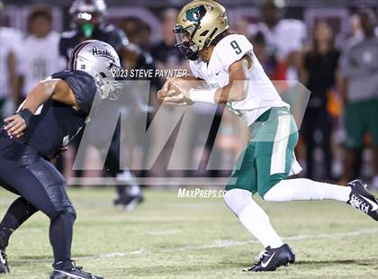 Thumbnail 3 in Basha @ Hamilton photogallery.