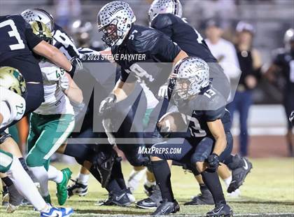 Thumbnail 3 in Basha @ Hamilton photogallery.