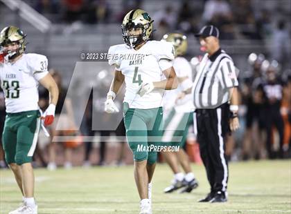 Thumbnail 2 in Basha @ Hamilton photogallery.