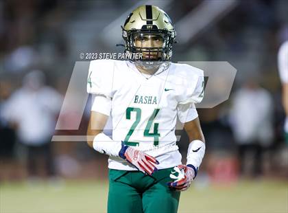 Thumbnail 3 in Basha @ Hamilton photogallery.