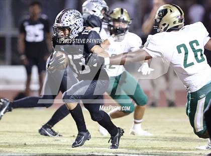 Thumbnail 2 in Basha @ Hamilton photogallery.