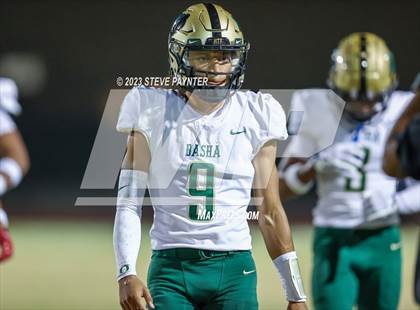 Thumbnail 2 in Basha @ Hamilton photogallery.