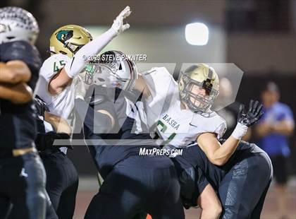 Thumbnail 1 in Basha @ Hamilton photogallery.