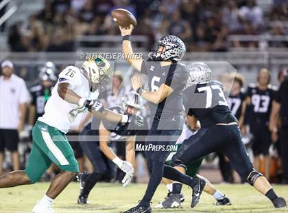 Thumbnail 1 in Basha @ Hamilton photogallery.