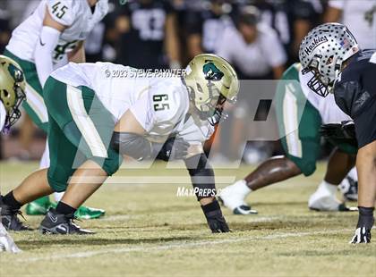Thumbnail 3 in Basha @ Hamilton photogallery.