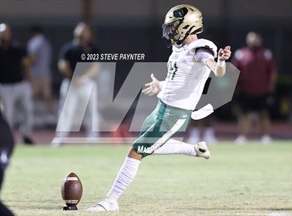Thumbnail 1 in Basha @ Hamilton photogallery.