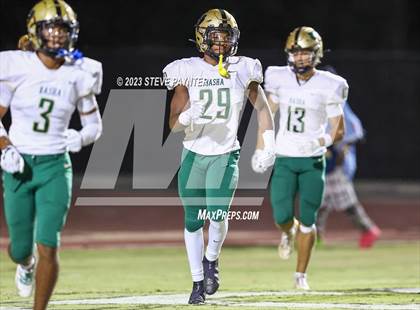 Thumbnail 3 in Basha @ Hamilton photogallery.