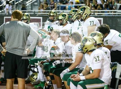 Thumbnail 2 in Basha @ Hamilton photogallery.