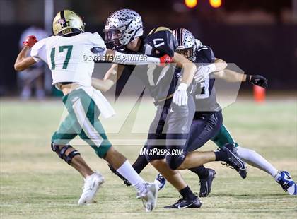 Thumbnail 3 in Basha @ Hamilton photogallery.
