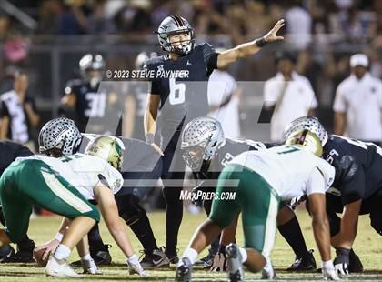 Thumbnail 3 in Basha @ Hamilton photogallery.