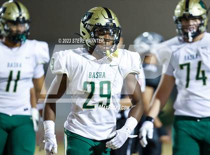 Thumbnail 3 in Basha @ Hamilton photogallery.