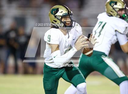 Thumbnail 1 in Basha @ Hamilton photogallery.