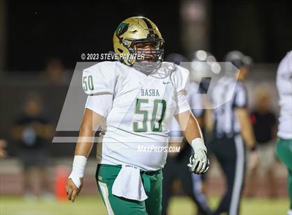 Thumbnail 1 in Basha @ Hamilton photogallery.