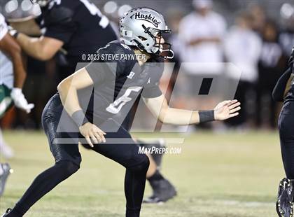 Thumbnail 1 in Basha @ Hamilton photogallery.