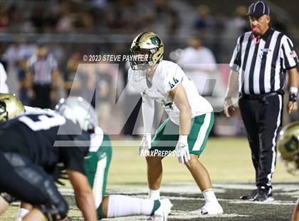 Thumbnail 3 in Basha @ Hamilton photogallery.