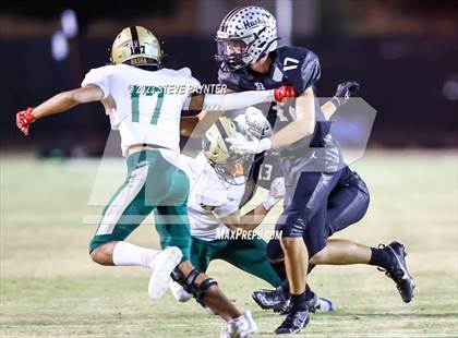 Thumbnail 1 in Basha @ Hamilton photogallery.