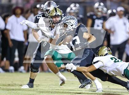 Thumbnail 2 in Basha @ Hamilton photogallery.
