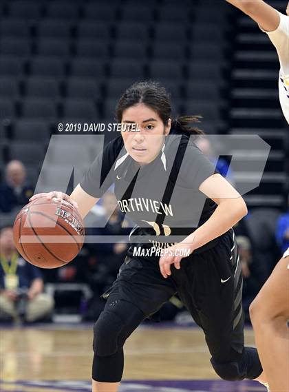 Thumbnail 2 in Northview vs. Oakland Tech (CIF State D4 Final) photogallery.