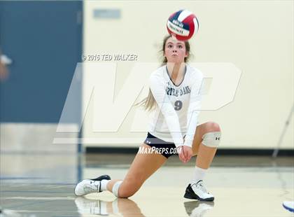 Thumbnail 2 in St. Ignatius vs. Notre Dame (CIF CCS Playoffs) photogallery.