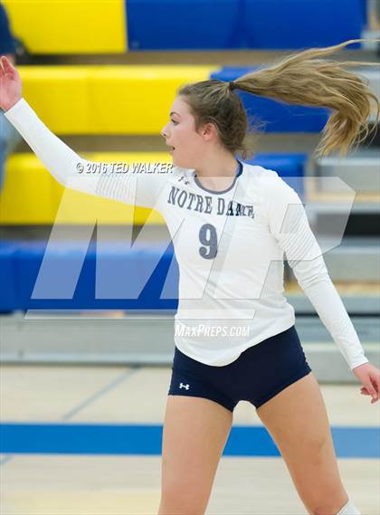 Thumbnail 2 in St. Ignatius vs. Notre Dame (CIF CCS Playoffs) photogallery.