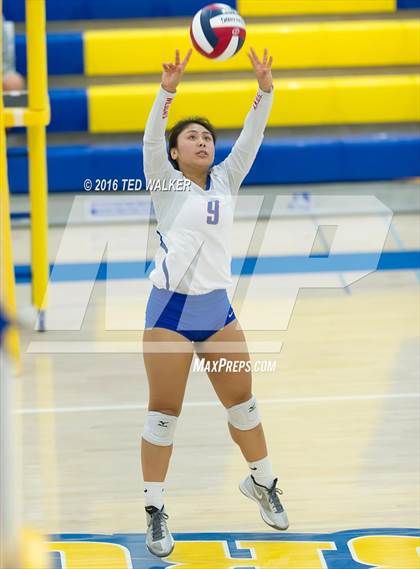 Thumbnail 1 in St. Ignatius vs. Notre Dame (CIF CCS Playoffs) photogallery.