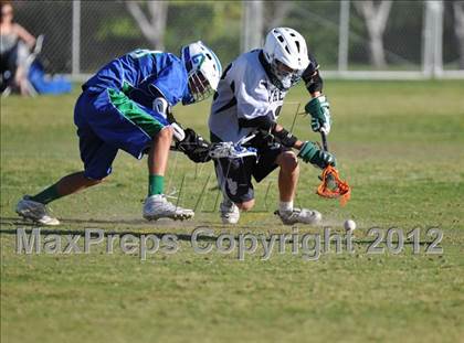 Thumbnail 2 in Palo Verde Green vs Green Valley photogallery.