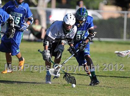 Thumbnail 2 in Palo Verde Green vs Green Valley photogallery.