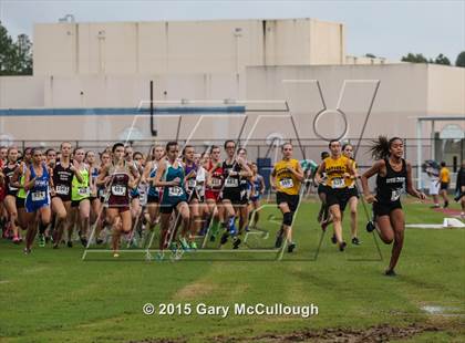 Thumbnail 2 in Ponte Vedra Invitational photogallery.