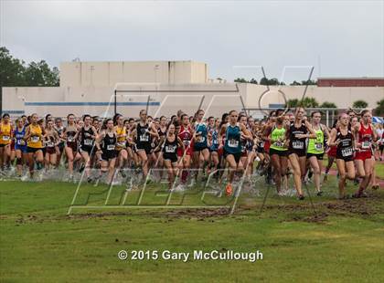 Thumbnail 2 in Ponte Vedra Invitational photogallery.