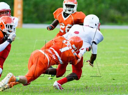 Thumbnail 2 in Tavares @ Mount Dora photogallery.
