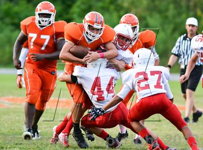 Thumbnail 3 in Tavares @ Mount Dora photogallery.