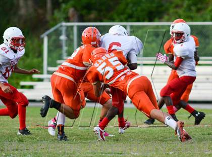 Thumbnail 3 in Tavares @ Mount Dora photogallery.