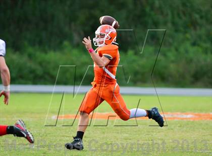 Thumbnail 3 in Tavares @ Mount Dora photogallery.