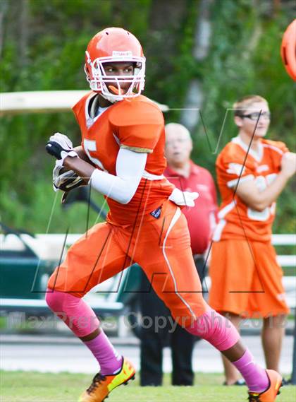 Thumbnail 1 in Tavares @ Mount Dora photogallery.