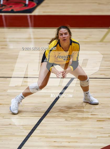 Thumbnail 2 in Sequoyah @ Lassiter photogallery.