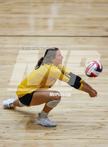 Thumbnail 1 in Sequoyah @ Lassiter photogallery.