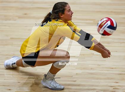 Thumbnail 3 in Sequoyah @ Lassiter photogallery.