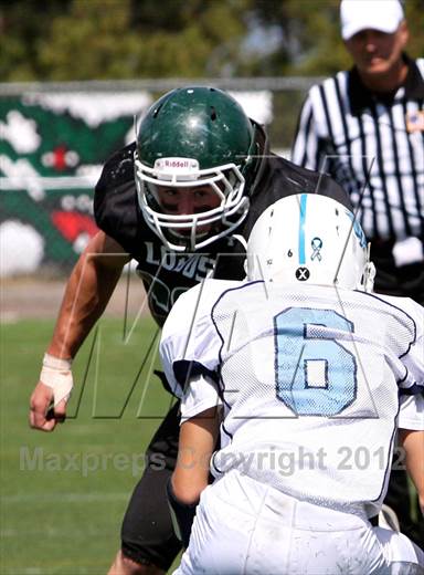 null - Photo 01