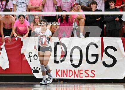 Thumbnail 1 in Marcus @ Coppell photogallery.