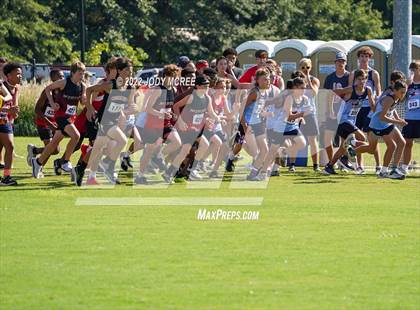 Thumbnail 3 in New Albany Cross Country Classic 2022 photogallery.