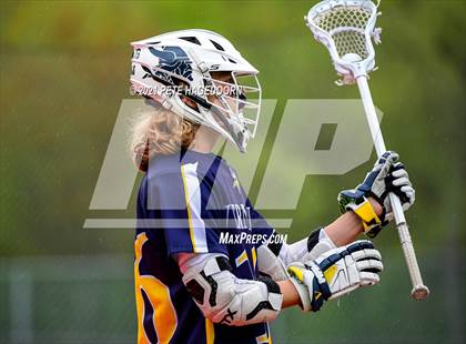 Thumbnail 1 in Vernon @ Lenape Valley photogallery.