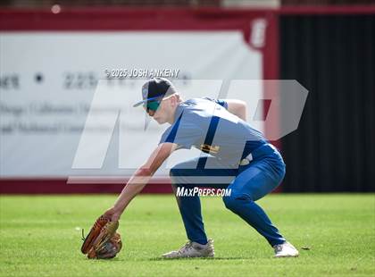 Thumbnail 2 in JV: Live Oak @ Brusly (Jamboree) photogallery.