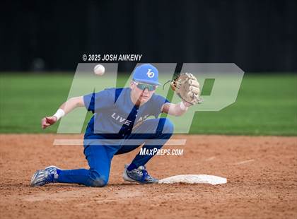 Thumbnail 2 in JV: Live Oak @ Brusly (Jamboree) photogallery.