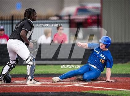 Thumbnail 3 in JV: Live Oak @ Brusly (Jamboree) photogallery.