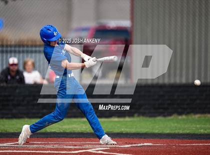 Thumbnail 2 in JV: Live Oak @ Brusly (Jamboree) photogallery.