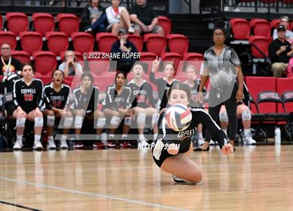 Thumbnail 3 in Marcus @ Coppell photogallery.