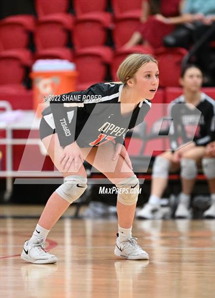 Thumbnail 3 in Marcus @ Coppell photogallery.